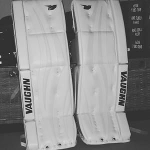 Meet your Posher, Gus